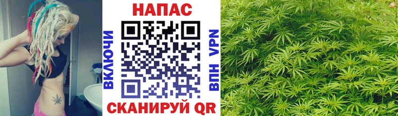 Конопля OG Kush  Югорск 